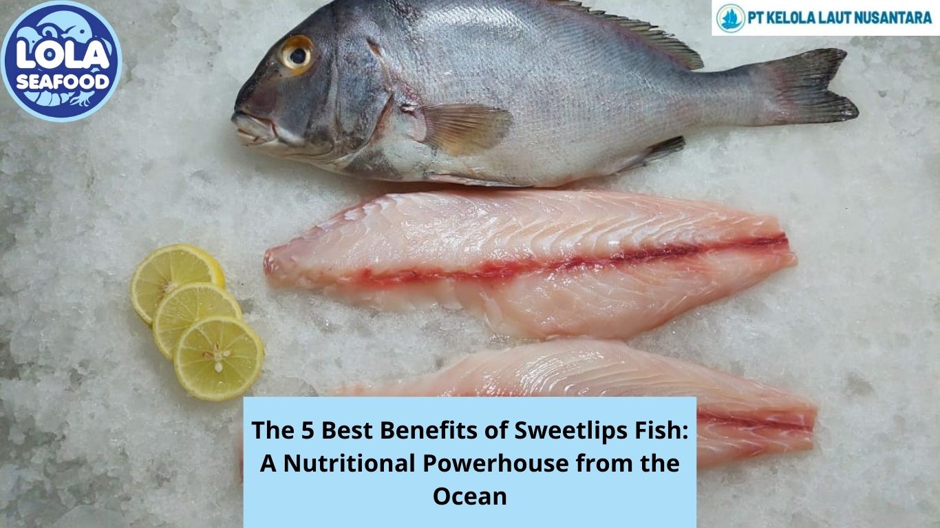 The 5 Best Benefits of Sweetlips Fish: A Nutritional Powerhouse from the Ocean